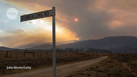 An extreme La Niña is linked to Australia’s mega.
